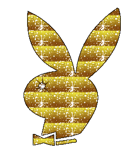play boy